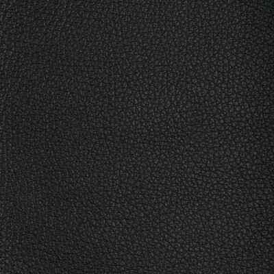 Kravet L-TUCUM BLACK