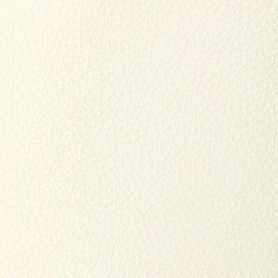 Kravet L-TUCUM BLANC