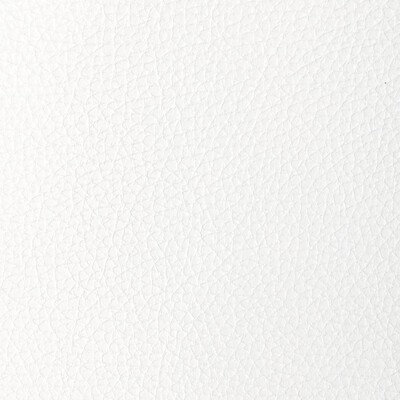 Kravet L-TUCUM CLOUD