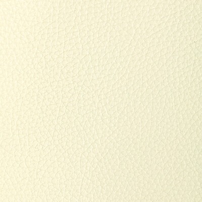 Kravet L-TUCUM IVORY