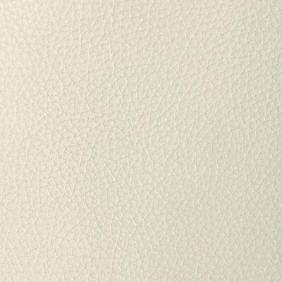 Kravet L-TUCUM OYSTER