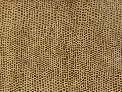 Kravet L-VAVOOM TAWNY