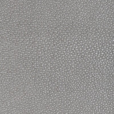 Kravet L-WHIT GREY