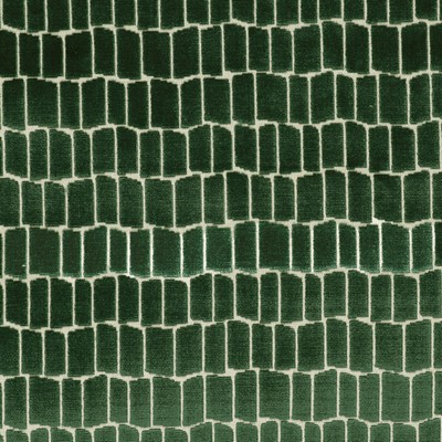 Kravet MAXIMO VERDE