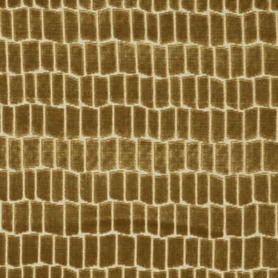 Kravet MAXIMO ORO