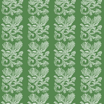 Kravet CAMINO VERDE