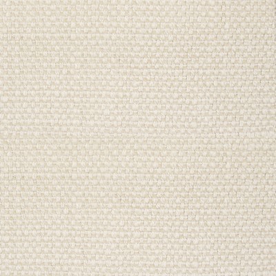 Kravet HUGO CRUDO