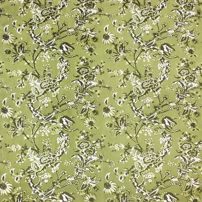 Kravet CARLOTA VERDE