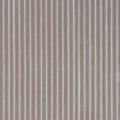 Kravet MAYRIT CASTOR