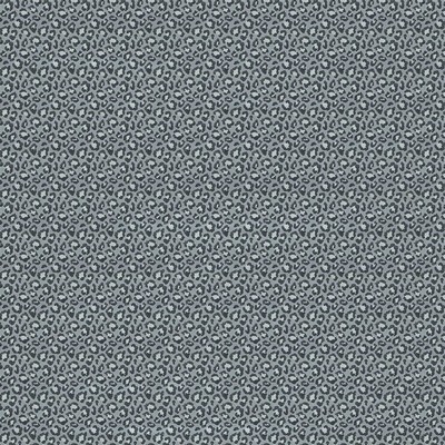 Kravet CAPRICORNIO GRIS