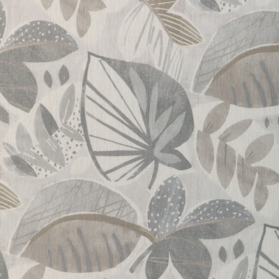 Kravet LEAF-A-LOT DOVE