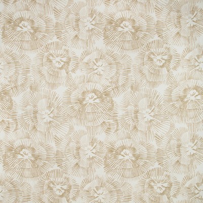 Kravet LINEWORK BURNISHED