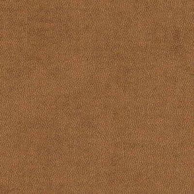 Kravet LITESTAR COPPER