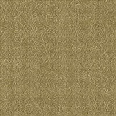 Kravet LITESTAR GOLD