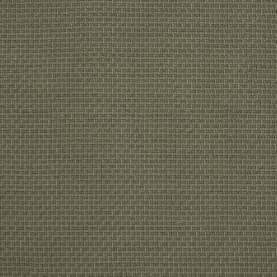 Kravet LEZNA 01