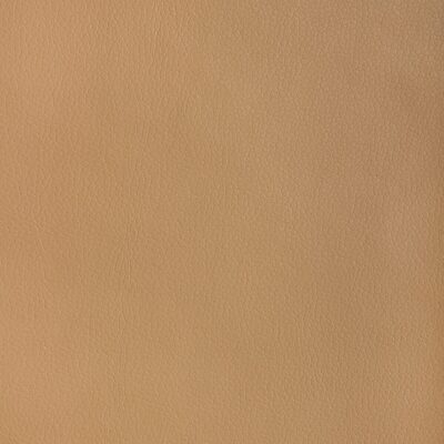 Kravet MAJOR 1616