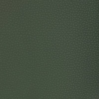 Kravet MEND 33
