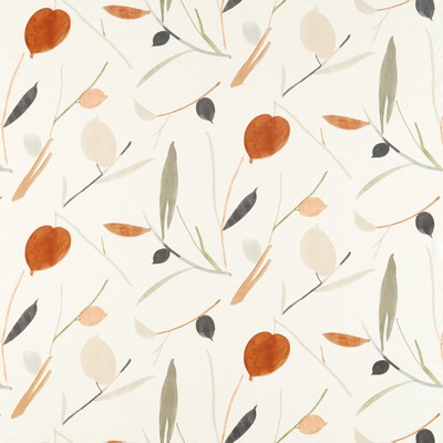 Kravet OXALIS SPICE/RAFFIA