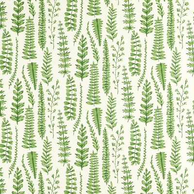 Kravet FERNS JUNIPER