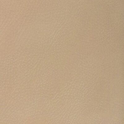 Kravet NASH 16