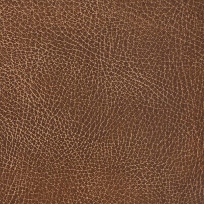 Kravet NASH 6