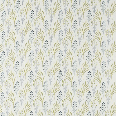 Kravet KINNIYA GRASSHOPPER