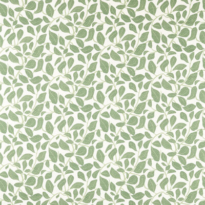 Kravet SWEET BAY FOREST