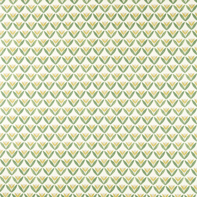 Kravet TULIP TRELLIS HONEY