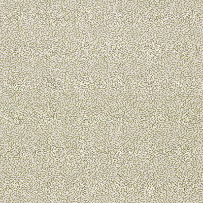 Kravet DUCKWEED LAWN