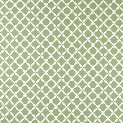 Kravet SWITHLAND PINE