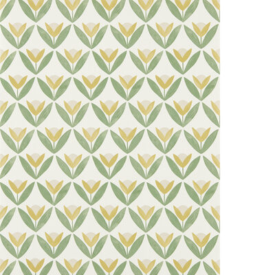 Kravet Wallcovering TULIP TRELLIS WP HONEY