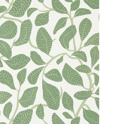 Kravet Wallcovering SWEET BAY WP FOREST