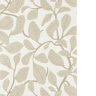 Kravet Wallcovering SWEET BAY WP STONE