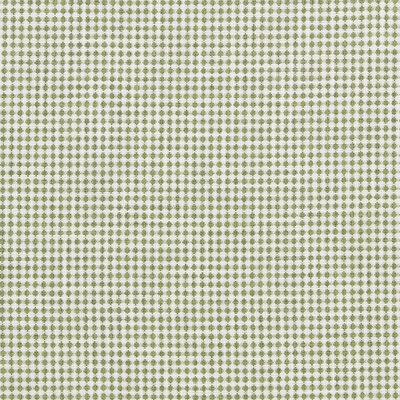 Kravet RAGDALE PINE