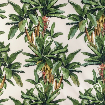 Kravet PALMEIRA VERDE