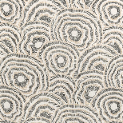 Kravet PANACHE ONYX