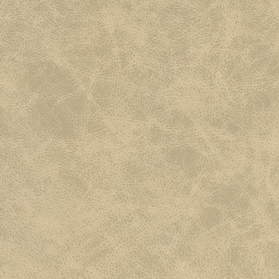 Kravet PATCH 11