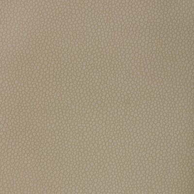 Kravet PIETRA 121