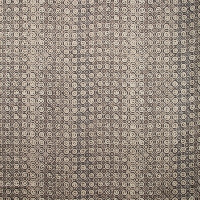 Kravet PROCIDA PEWTER