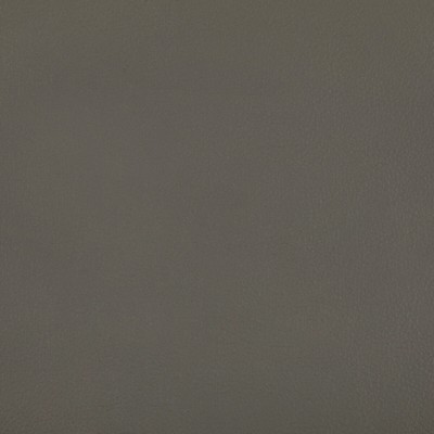 Kravet RAND GREYSTONE