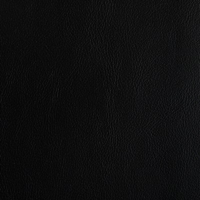 Kravet RAND STALLION