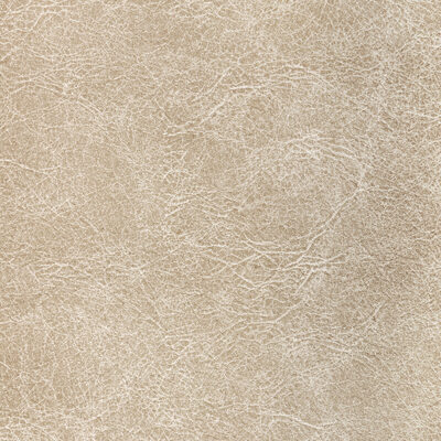 Kravet REBOOT FOSSIL
