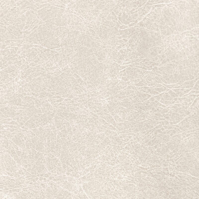 Kravet REBOOT LIMESTONE
