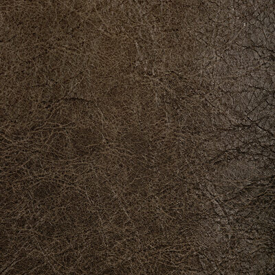 Kravet REBOOT WALNUT