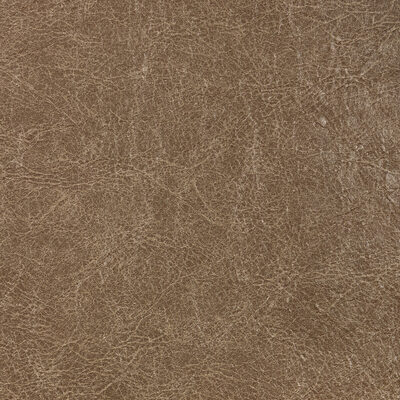 Kravet REBOOT BISON