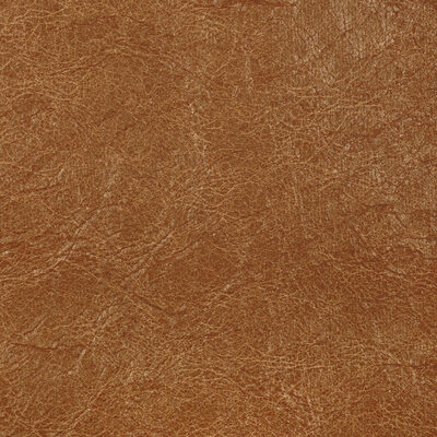 Kravet REBOOT BUCK
