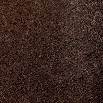Kravet REBOOT CHESTNUT