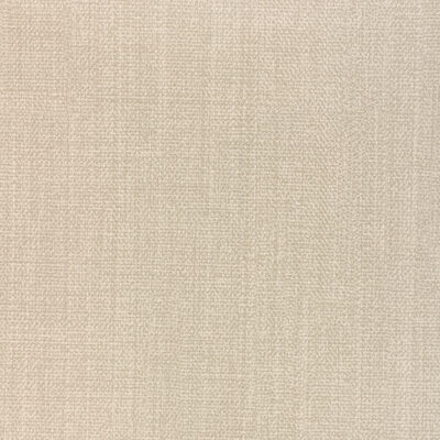 Kravet REMIX FLINT