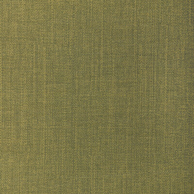Kravet REMIX CACTUS
