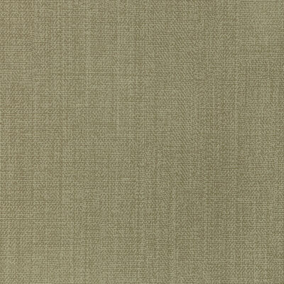 Kravet REMIX SAGE